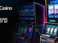 카지노 슬롯 머신의 선택 가이드