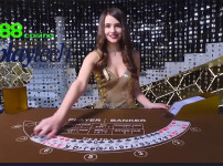 888 홀딩스와 플레이테크, 온라인 카지노 콘텐츠 거래로 미국 진출 확대