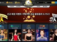 온라인카지노(ONLINE CASINO)